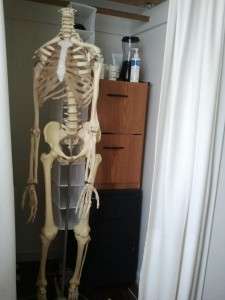 Skeleton in the closet